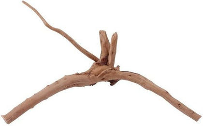 Produktbild von AquaOne M Moorkienwurzel Nr.1686 Aquarium Wurzel Holz Deko Aquascaping