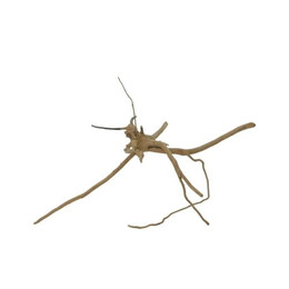 Produktbild von AquaOne M Moorkienwurzel Nr.7354 Aquarium Wurzel Holz Deko Aquascaping