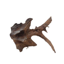 AquaOne Mangrovenwurzel L Echtholz Aquarium Deko – Bild 1 von 4