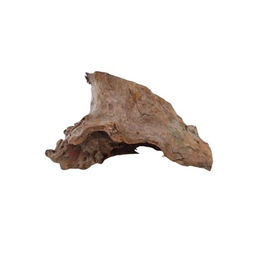 AquaOne Mangrovenwurzel L Echtholz Aquariumdeko – Bild 1 von 4