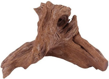 Produktbild von Aquaone Mangrovenwurzel M Nr.1820 Holz Deko Aquascaping