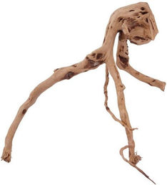 Produktbild von AquaOne Moorkienwurzel L Echtholz Aquariumdeko