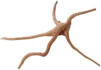 Produktbild von AquaOne Moorkienwurzel M Nr.9934 Aquarium Holz Deko