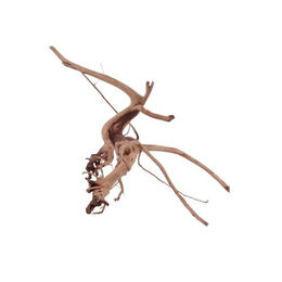 Aquaone Siennawurzel Nr.1255 Größe L Aquarium Deko – Bild 1 von 4