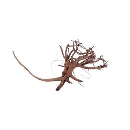 Aquaone Siennawurzel Nr.1263 Größe L Aquarium Deko Holz – Bild 1 von 4