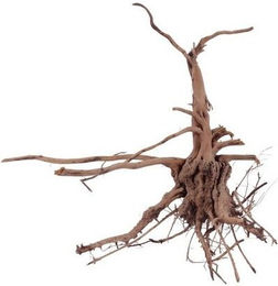 Produktbild von Aquaone Siennawurzel Nr.1267 Größe L Aquarium Deko Holz