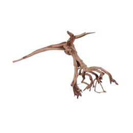 Aquaone Siennawurzel Nr.1277 Größe L Aquarium Deko Holz – Bild 1 von 4