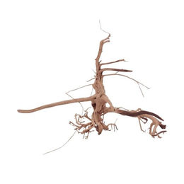 Aquaone Siennawurzel Nr.1291 Größe L Aquarium Deko – Bild 1 von 4