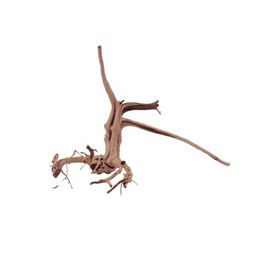 Aquaone Siennawurzel Nr.1295 Größe L Aquarium Deko – Bild 1 von 4