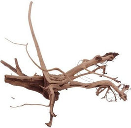 Produktbild von Aquaone Siennawurzel Nr.1301 Größe L Aquarium Deko Holz