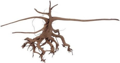 Produktbild von Aquaone Siennawurzel Nr.5316 Größe L Aquarium Deko