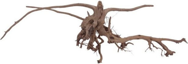Produktbild von Aquaone Siennawurzel XL Aquarium Deko