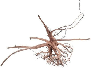 Produktbild von Aquaone Siennawurzel XL Aquarium Deko