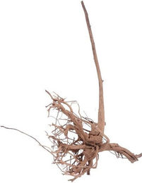 Produktbild von Aquaone Siennawurzel XL Aquarium Deko Holz