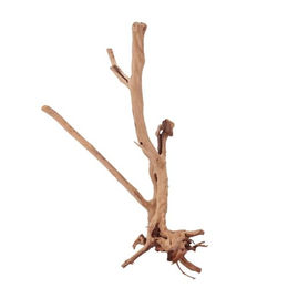AquaOne Stump Wurzel Nr.1848 Aquarium Wurzel Holz Deko Aquascaping – Bild 1 von 4
