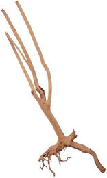 Produktbild von AquaOne Stump Wurzel Nr.2086 Aquarium Holz Deko Aquascaping