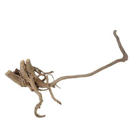 AquaOne XL Moorkienwurzel Echtholz Aquarium Deko – Bild 1 von 4