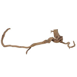 Produktbild von AquaOne XL Moorkienwurzel Echtholz Aquarium Deko