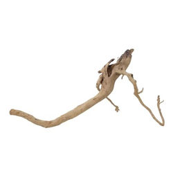 AquaOne XL Moorkienwurzel Echtholz Aquarium Deko – Bild 1 von 4