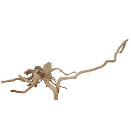 AquaOne XL Moorkienwurzel Echtholz Aquarium Deko – Bild 1 von 4