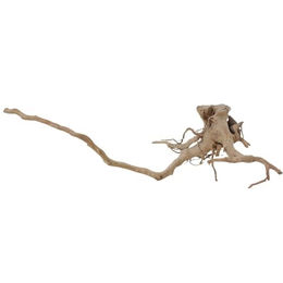 Produktbild von AquaOne XL Moorkienwurzel Nr.1654 Echtholz Deko Aquascaping