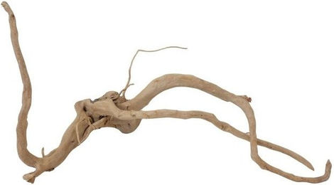 Produktbild von AquaOne XL Moorkienwurzel Nr.1661 Echtholz Deko Aquascaping