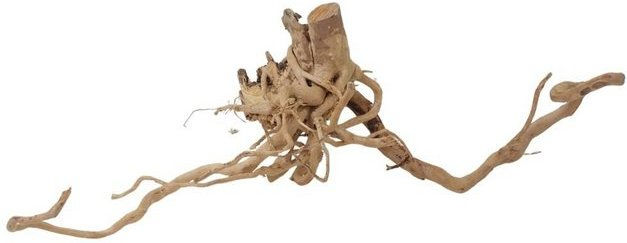 Produktbild von AquaOne XL Moorkienwurzel Nr.1670 Echtholz Deko Aquascaping