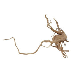 AquaOne XL Moorkienwurzel Nr.1672 Echtholz Deko Aquascaping – Bild 1 von 4