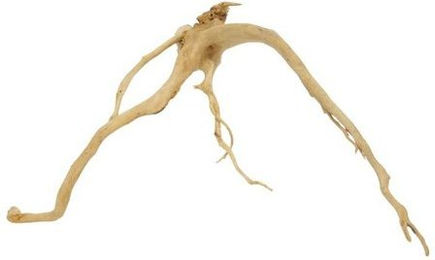 Produktbild von AquaOne XL Moorkienwurzel Nr.9215 Echtholz Deko Aquascaping