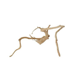 AquaOne XL Moorkienwurzel Nr.9856 Echtholz Deko für Aquarium – Bild 1 von 4