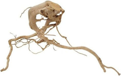 Produktbild von AquaOne XL Moorkienwurzel Nr.9879 Echtholz Deko Aquascaping