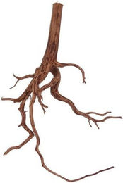 Produktbild von AquaOne XL Red Spider Wurzel Echtholz Aquarium Deko