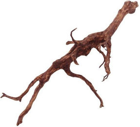 Produktbild von AquaOne XL Red Spider Wurzel Echtholz Aquariumdeko