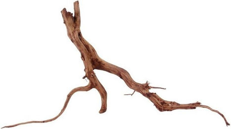 Produktbild von AquaOne XL Red Spider Wurzel Echtholz Aquariumdeko