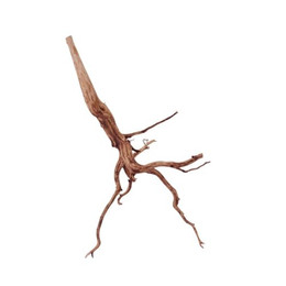 Produktbild von AquaOne XL Red Spider Wurzel Echtholz Aquariumdeko