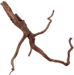 Produktbild von AquaOne XL Red Spider Wurzel Echtholz Aquariumdeko