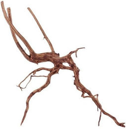 Produktbild von AquaOne XL Red Spider Wurzel Echtholz Aquariumdeko