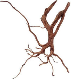 Produktbild von AquaOne XL Red Spider Wurzel Echtholz Aquariumdeko