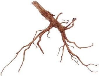 Produktbild von AquaOne XL Red Spider Wurzel Echtholz Deko Aquascaping