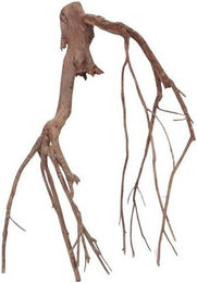 Produktbild von AquaOne XL Talawa Aquarium Wurzel Nr.1389