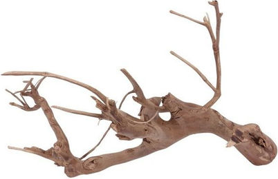 Produktbild von AquaOne XL Talawa Aquarium Wurzel Nr.1396