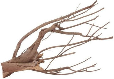 Produktbild von AquaOne XL Talawa Aquarium Wurzel Nr.1412