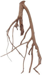 Produktbild von AquaOne XL Talawa Aquarium Wurzel Nr.1414