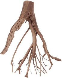 Produktbild von AquaOne XL Talawa Aquarium Wurzel Nr.1424