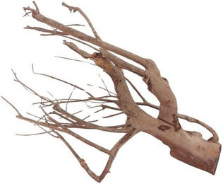 Produktbild von AquaOne XL Talawa Aquarium Wurzel Nr.1430