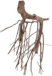 Produktbild von AquaOne XL Talawa Aquarium Wurzel Nr.1534