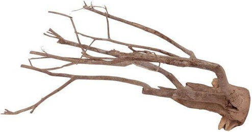 Produktbild von AquaOne XL Talawa Aquarium Wurzel Nr.1547