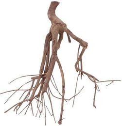 Produktbild von AquaOne XL Talawa Aquarium Wurzel Nr.1551