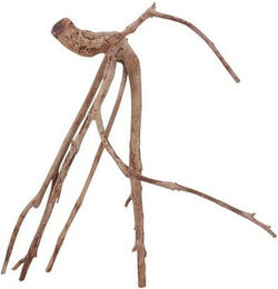 Produktbild von AquaOne XL Talawa Aquarium Wurzel Nr.9505