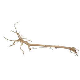 Produktbild von AquaOne XXL Moorkienwurzel Echtholz Aquarium Deko